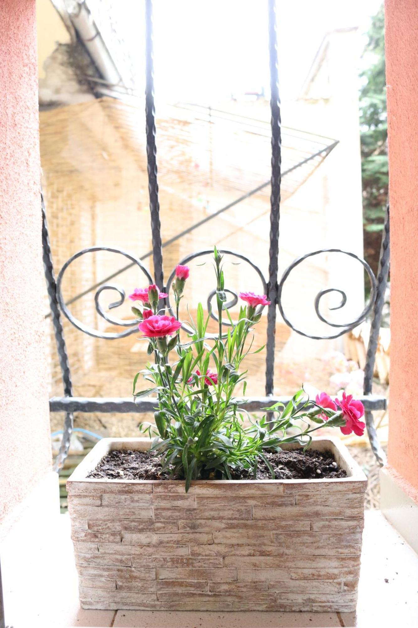 Center Vintage Appartement Sofia
